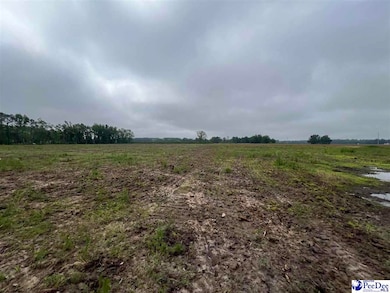 TBD Harry Byrd Hwy, Darlington, SC 29532 - photo 3