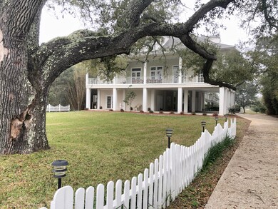 Driveway View