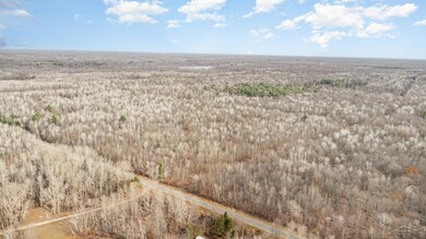 0 S County Line Rd unit 50195279, Shepherd, MI 48883 - photo 3