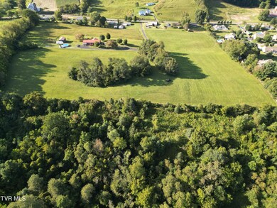 Tbd Reedy Creek Rd, Bristol, VA 24202 - photo 4