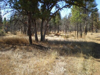 Hogsback area #7