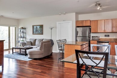 4 Repton Cir unit 4201, Watertown, MA 02472 - photo 6