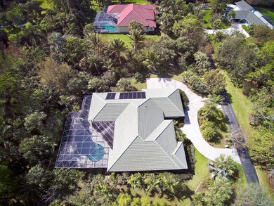Aerial 5