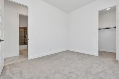 This bedroom has plush carpet and a walk-in closet