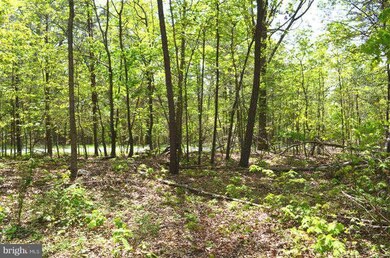 0 Lot 12 Secession Ln unit 1003490994, New Market, VA 22844 - photo 3