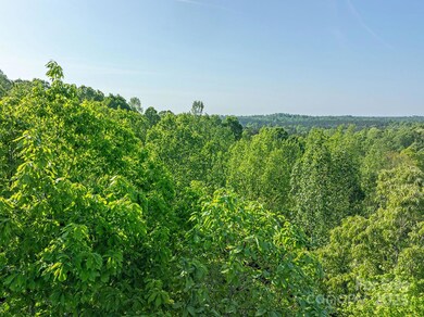 4444 Groves Rd, Union Mills, NC 28167 - photo 5