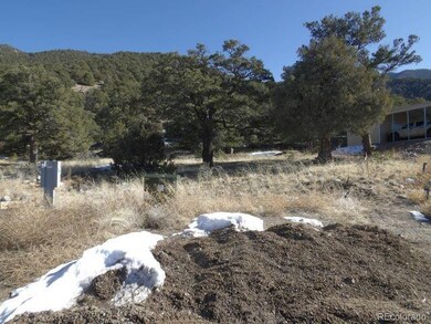 4317 Serene Way, Crestone, CO 81131 - photo 6