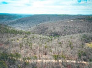 13.14 Acres, Stone County 12