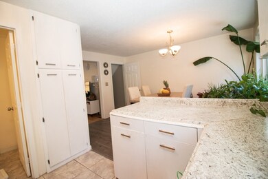 20 Angle St unit 12, Lowell, MA 01851 - photo 6