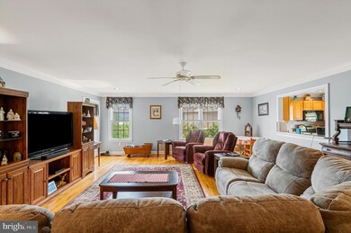 166 Daniel Ct, Strasburg, VA 22657 - photo 6