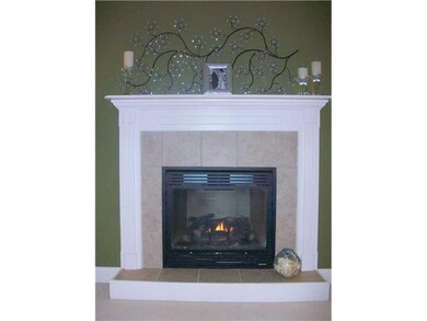 Living Room. The stunning fireplace with ceramic s