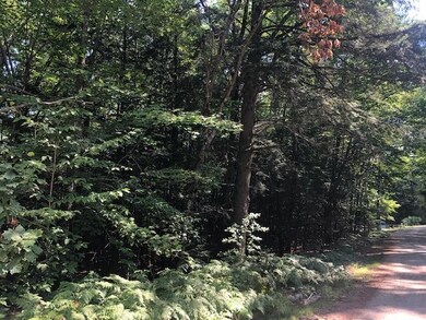 52 Beech River Cir, Center Ossipee, NH 03814 - photo 7