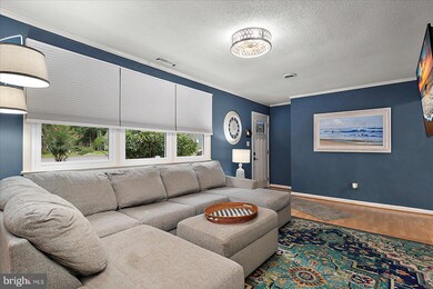 4 Surfers Way, Berlin, MD 21811 - photo 6