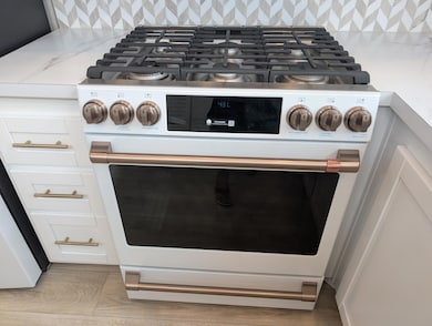 Gas Range