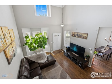 4859 Raven Run, Broomfield, CO 80023 - photo 6