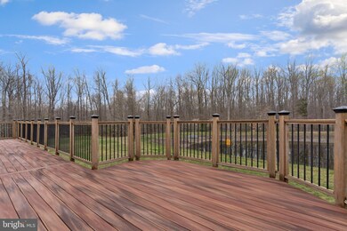 16643 Space More Cir, Woodbridge, VA 22191 - photo 6