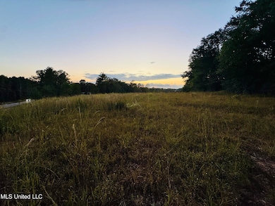 0 Cooks Corner Rd, Lucedale, MS 39452 - photo 3