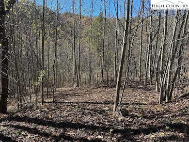 TBD River Front Dr, Jefferson, NC 28604 - photo 3