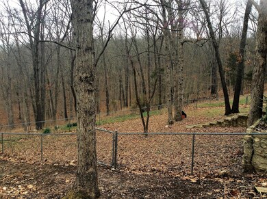 10 Round Hill Rd, Kimberling City, MO 65686 - photo 3