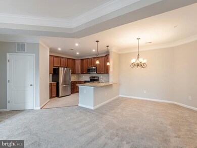 24701 Byrne Meadow Square unit 308, Aldie, VA 20105 - photo 7