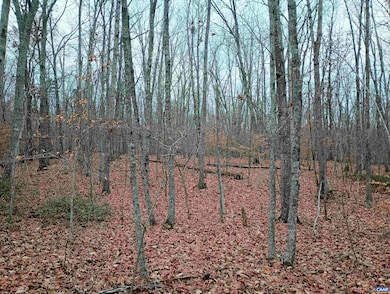 0 Axtell Rd unit 671721, Scottsville, VA 24590 - photo 6