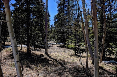 0 Kiowa St unit 9633454, Como, CO 80432 - photo 7