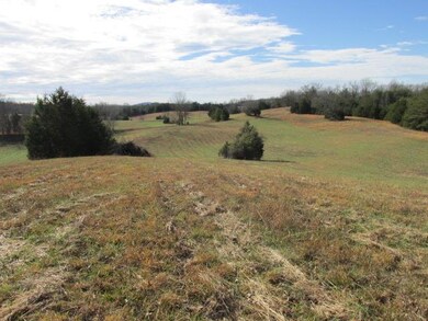 0 Goodbar Rd unit RTC1692001, Mc Minnville, TN 37110 - photo 6