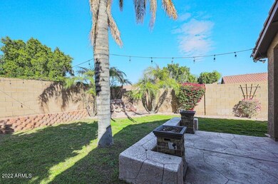 Backyard2