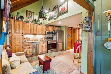 115 Grizzly Way, Davis, WV 26260 - photo 5