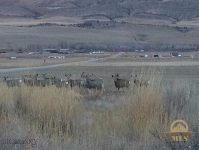 Herd of Mule Deer