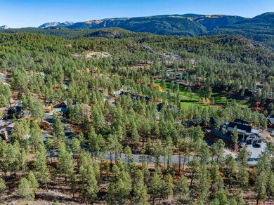 119 Hideout Trail, Durango, CO 81301 - photo 6