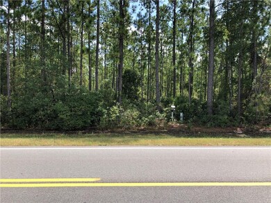 T29 Hwy 121 Hwy, Folkston, GA 31537 - photo 4