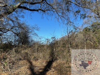 0 Homer Ford Ave, Nash, TX 75569 - photo 4