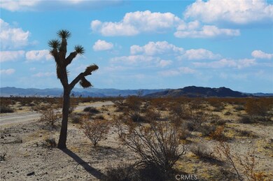 6130 La Brisa Dr, Joshua Tree, CA - photo 5