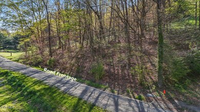 Tbd Shaffertown Rd, Bristol, VA 24202 - photo 6