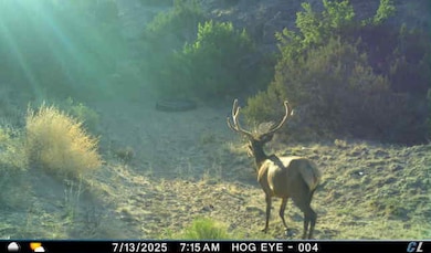 000 Tba Rd, Quemado, NM 87829 - photo 2