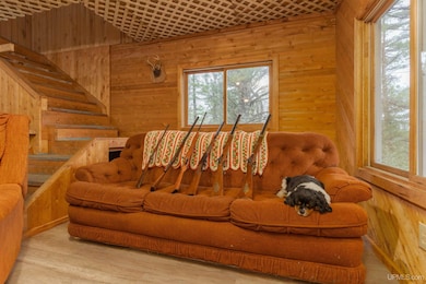 TBD Forest 3612 Rd, Iron River, MI 49935 - photo 4