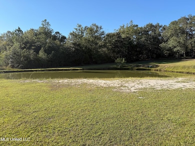 2855 Firetower Rd, Kiln, MS 39556 - photo 6