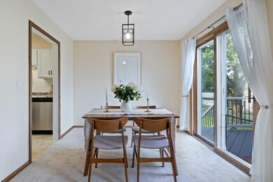 10890 108th Place N, Maple Grove, MN 55369 - photo 6