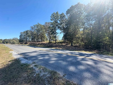 0 County Road 82, Newell, AL 36280 - photo 5