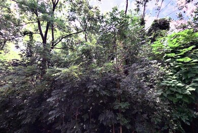 110-002436_2022_001