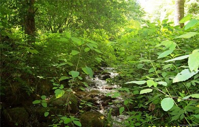 0 Patsy Creek Rd unit 3425310, Burnsville, NC 28714 - photo 4
