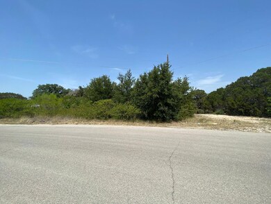 100 Paula Ct, Granbury, TX 76049 - photo 3