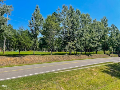 1150 Rougemont Rd, Rougemont, NC 27572 - photo 3