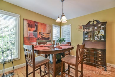 911 Fanning Bridge Rd, Fletcher, NC 28732 - photo 7