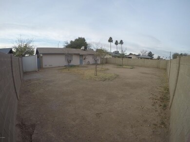 Backyard3