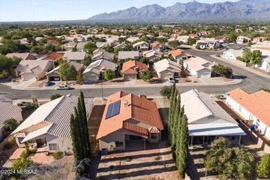Aerial Back