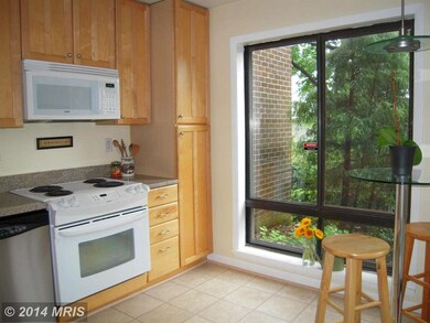 116 Roberts Ln unit 100, Alexandria, VA 22314 - photo 4