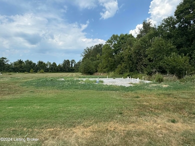 13 Red Leaf Dr, Carrollton, KY 41008 - photo 3