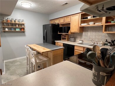 25064 Mill River Rd unit 25064, Olmsted Falls, OH 44138 - photo 4